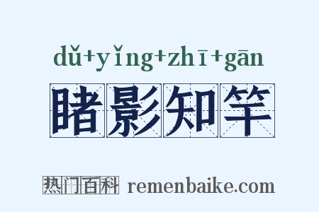 睹影知竿是什么意思的图片